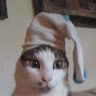 (Category: ) located in . Submitted by kaitou211 (Listing ID 1460474158, Image 1). Description: .