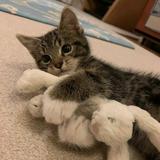 (Category: ) located in . Submitted by eneyomccau55813 (Listing ID 1456882730, Image 1). Description: .