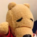 由 hung_ren (刊登 ID 1456118231,圖片 1) 提交,位於 的 (類別:),說明:。