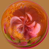 (Category: ) located in . Submitted by thisisshobe (Listing ID 1461633560, Image 1). Description: .