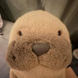 (Category: ) located in . Submitted by wallysells (Listing ID 1456211620, Image 1). Description: .