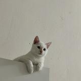 (Category: ) located in . Submitted by yien57 (Listing ID 1456095293, Image 1). Description: .