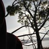 (Category: ) located in . Submitted by asheky (Listing ID 1456690757, Image 1). Description: .