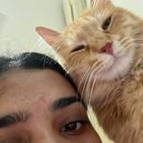 (Category: ) located in . Submitted by janvnkt (Listing ID 1456387729, Image 1). Description: .