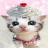 (分類:)位於 。 由 hannahhhjaneee 提交(商品編號 1457419826,圖片 1)。簡介: 。
