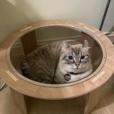 (Category: ) located in . Submitted by neko_meowchan (Listing ID 1456695385, Image 1). Description: .