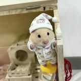 (分類:)位於 。 由 6hhh8 提交(商品編號 1457839925,圖片 1)。簡介: 。