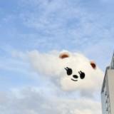(分類:)位於 。 由 silentpenguin221 提交(商品編號 1455648233,圖片 1)。簡介: 。