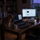 (Category: ) located in . Submitted by streetgatos (Listing ID 1414907092, Image 1). Description: .