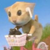 (Category: ) located in . Submitted by heliumatchastrawb (Listing ID 1455695772, Image 1). Description: .