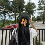 (Category: ) located in . Submitted by bridget.mdt (Listing ID 1456689990, Image 1). Description: .