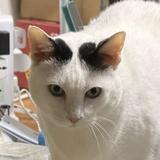 (Category: ) located in . Submitted by harrycheng79068 (Listing ID 1462747316, Image 1). Description: .