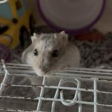(分類:)位於 。 由 smart_him 提交(商品編號 1456629661,圖片 1)。簡介: 。