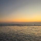 (Category: ) located in . Submitted by golden_hour999 (Listing ID 1469180515, Image 1). Description: .