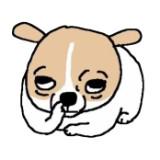 頭像