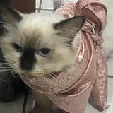 (Category: ) located in . Submitted by lilyscloset0811 (Listing ID 1456399039, Image 1). Description: .