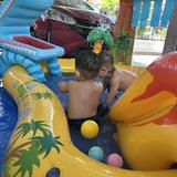 (Category: ) located in . Submitted by mummytwinsizzy (Listing ID 1456879796, Image 1). Description: .