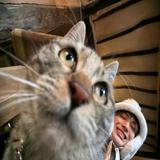 (Category: ) located in . Submitted by ang3ll (Listing ID 1463748784, Image 1). Description: .