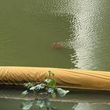 (Category: ) located in . Submitted by happy_fishin (Listing ID 1456112288, Image 1). Description: .