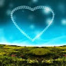 (Category: ) located in . Submitted by tankaseng119791 (Listing ID 1457063969, Image 1). Description: .