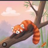 (Category: ) located in . Submitted by pandabubu (Listing ID 1457058458, Image 1). Description: .
