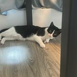 (分類:)位於 。 由 dayday_zzz 提交(商品編號 1457409540,圖片 1)。簡介: 。