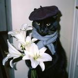 (Category: ) located in . Submitted by iyasszha (Listing ID 1457613024, Image 1). Description: .