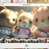(Category: ) located in . Submitted by kitty.nana (Listing ID 1457494397, Image 1). Description: .