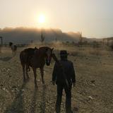 (Category: ) located in . Submitted by nyxmit (Listing ID 1457176777, Image 1). Description: .