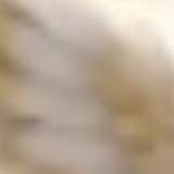 (Category: ) located in . Submitted by okbro123 (Listing ID 1460472680, Image 1). Description: .