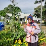 (Category: ) located in . Submitted by nursya128 (Listing ID 1457616456, Image 1). Description: .