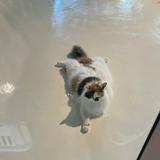 (Category: ) located in . Submitted by nini.yazid (Listing ID 1457533102, Image 1). Description: .