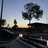 (Category: ) located in . Submitted by sofea770 (Listing ID 1457563054, Image 1). Description: .
