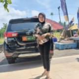 (Kategori: ) berada di . Dikirim oleh bonengjee (ID iklan 1459135711, Gambar 1). Deskripsi: .
