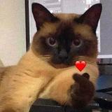 (Category: ) located in . Submitted by what__not (Listing ID 1459400403, Image 1). Description: .
