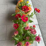 (Category: ) located in . Submitted by yuna____n (Listing ID 1457810233, Image 1). Description: .
