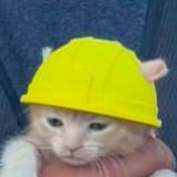 (Category: ) located in . Submitted by mariyyyangely (Listing ID 1458038177, Image 1). Description: .