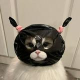 頭像