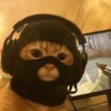 (Category: ) located in . Submitted by playamane (Listing ID 1447203927, Image 1). Description: .