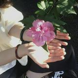 (Category: ) located in . Submitted by gabyperwp (Listing ID 1457790774, Image 1). Description: .