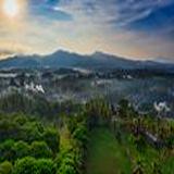 (Kategori: ) berada di . Dikirim oleh its_oktavia (ID iklan 1461035545, Gambar 1). Deskripsi: .