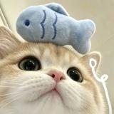 (Category: ) located in . Submitted by soo_xjun (Listing ID 1458328228, Image 1). Description: .