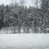 (Category: ) located in . Submitted by waffls (Listing ID 1464602093, Image 1). Description: .
