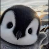 (Category: ) located in . Submitted by sz.penguin (Listing ID 1458508990, Image 1). Description: .