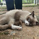 (Category: ) located in . Submitted by charlotte_mona (Listing ID 1458309473, Image 1). Description: .