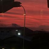 (Category: ) located in . Submitted by chloespreloveddd (Listing ID 1458605279, Image 1). Description: .