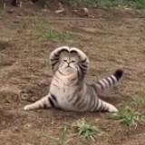 頭像