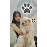 (Category: ) located in . Submitted by wenxuan_29 (Listing ID 1467085530, Image 1). Description: .