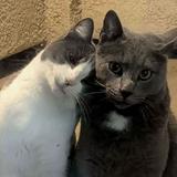 (Category: ) located in . Submitted by jnvisble (Listing ID 1458831806, Image 1). Description: .