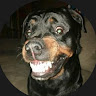 (Category: ) located in . Submitted by jerrykyle (Listing ID 1461320483, Image 1). Description: .